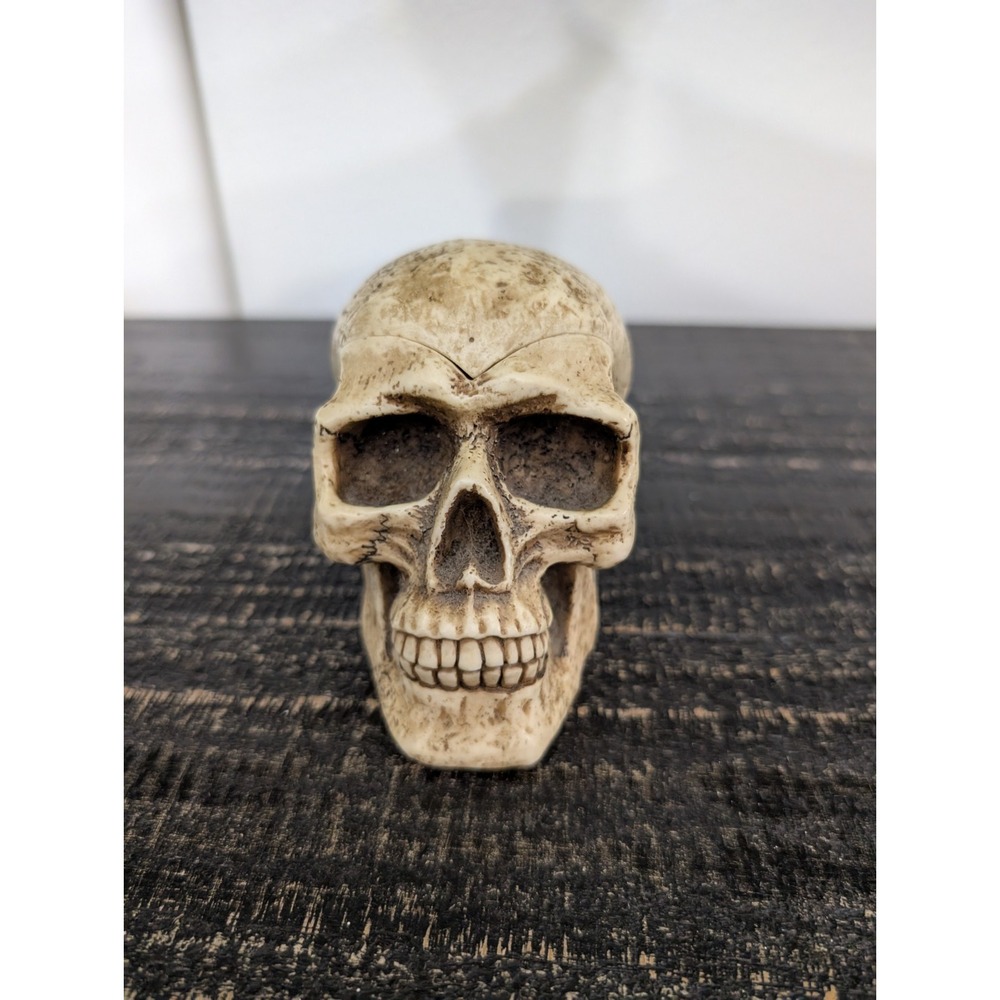 RARE Skull Resin Figure Sculpture Vintage 1999 WUI Dish Ashtray Halloween